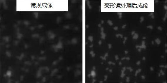 顯微成像應(yīng)用